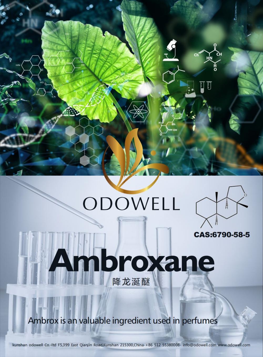 Ο Odowell γιορτάζει μια επιτυχημένη χρονιά για το Ambroxane (Ambrox)