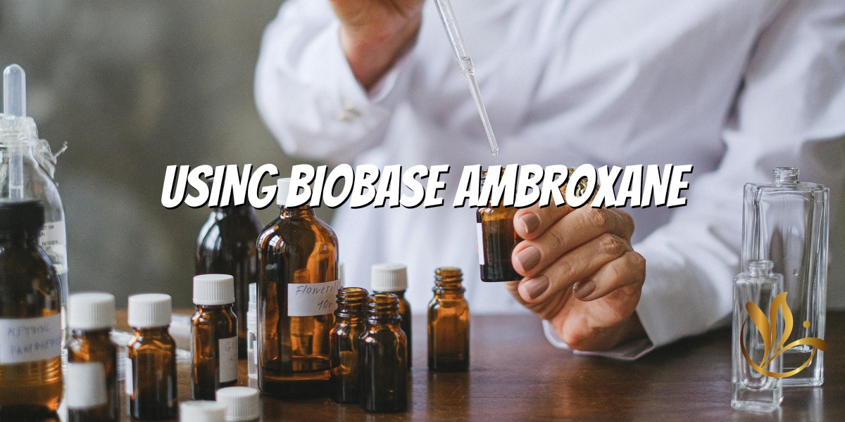Mastering Ambrox - Οδηγός αρώματος για διαχρονικές δημιουργίες