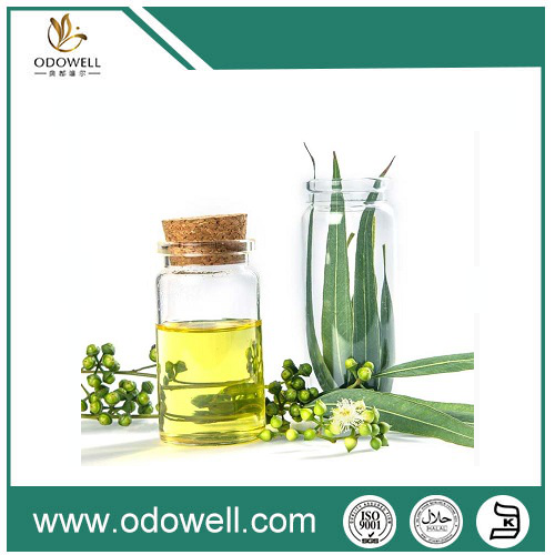 Παρουσιάζοντας το Premium Eucalyptus Oil (Eucalyptus Globulus) - φυσικό, αυθεντικό και ευπροσάρμοστο