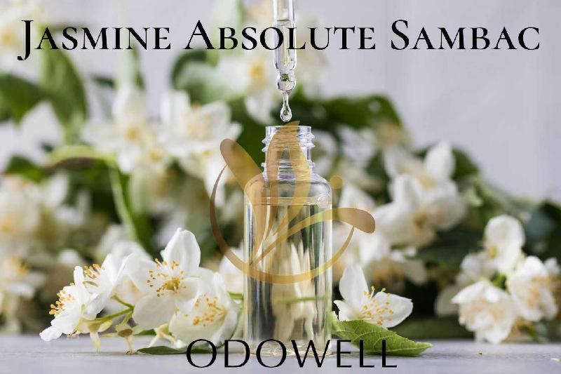 Η ODOWELL λανσάρει το Jasmine Absolute Sambac — Ένα Premium φυσικό γιασεμί απόλυτο για άρωμα και ομορφιά