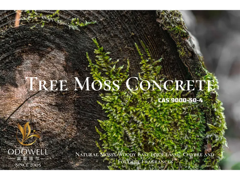 Σκυρόδεμα Tree Moss – Φυσική βάση βρύου-ξυλώδους ODOWELL για κλασικά αρώματα Chypre και Fougère