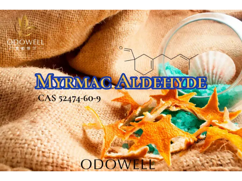 Myrmac Aldehyde – Ozonic Marine Aldehyde της ODOWELL για φρέσκα αρώματα εξωτερικού χώρου