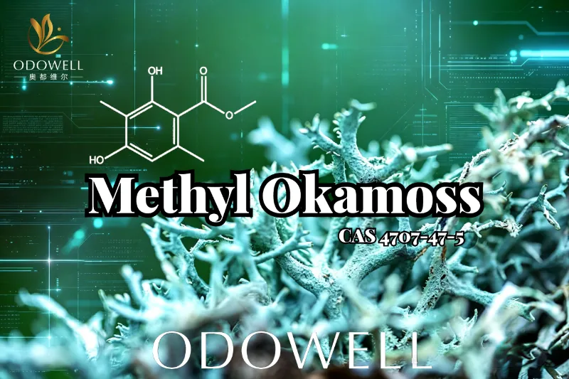 ​Η ODOWELL παρουσιάζει το Methyl Okamoss: Αυθεντικό Συνθετικό Oakmoss για Chypre και Fougère Mastery
