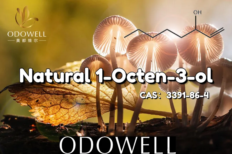 Η ODOWELL συνιστά τη φυσική 1-Octen-3-ol για εφαρμογές που μοιάζουν με μανιτάρια και γήινες γεύσεις