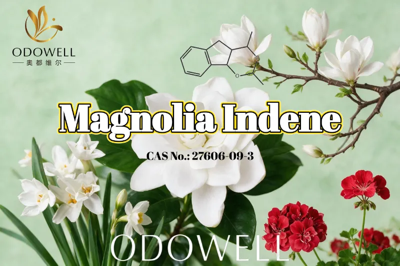 Η ODOWELL συνιστά το Magnolia Indene για εφαρμογές φρέσκων λουλουδιών-πράσινων και εσπεριδοειδών αρωμάτων